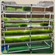 Top Seedling Grow Rack Supply 1