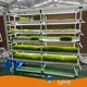 Support de semis économique avec lumières Lyine Company 1