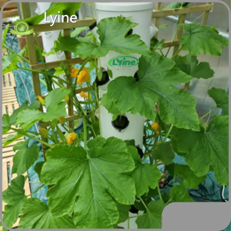Bulk Osta Indoor Hydroponic Garden Tower 1