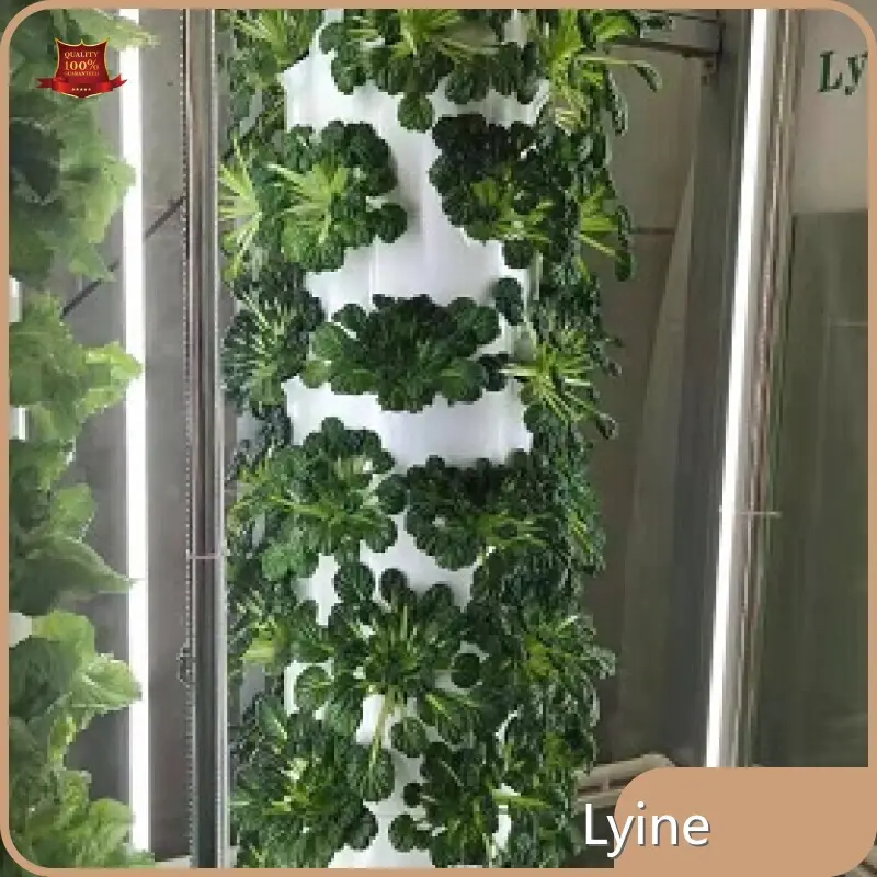 Suministro de torre de jardín hidropónico Lyine 1
