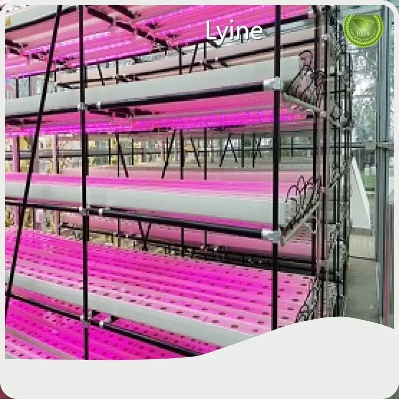 Best Vertical Tower Hydroponic System Wholesaler 1