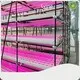Best Vertical Tower Hydroponic System Wholesaler 1