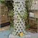 Reliable Vertical Tower Hydroponic System Vertical Tower Hydroponic System Company 1