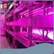 Top Indoor Hydroponic Garden Tower Price List 1