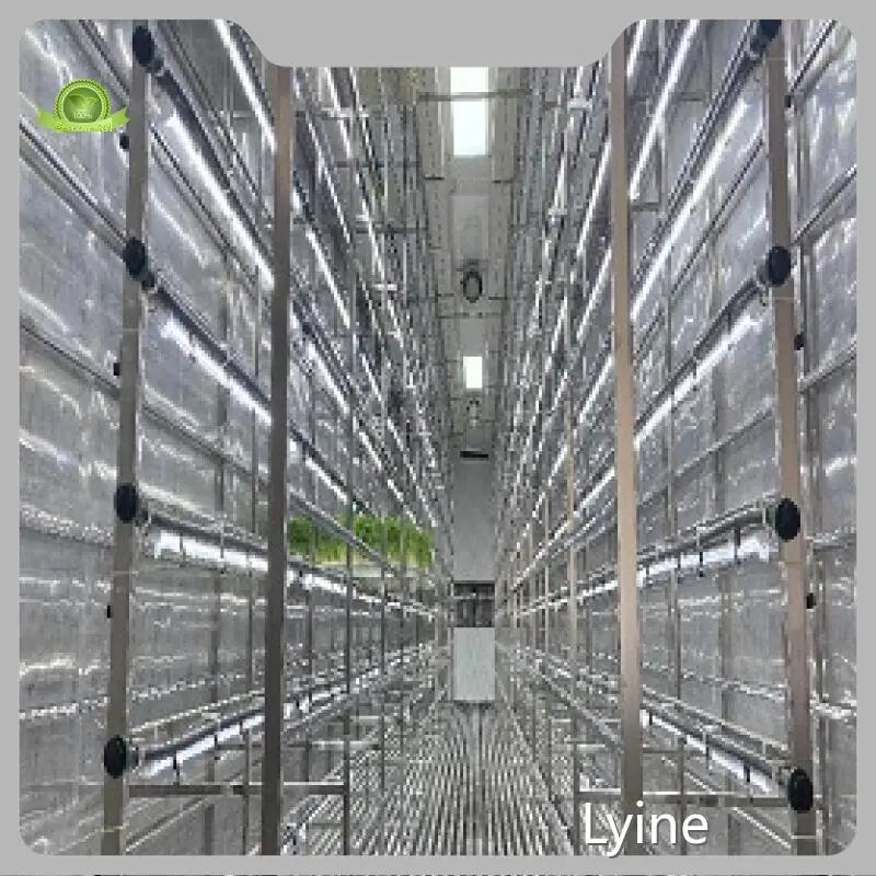 Vertical Hydroponic System Factory 1