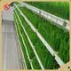 Hydroponic Tower by Lyine 1