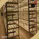 Reliableindoor Hydroponic Tower System 1