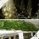 Indoor Hydroponic Tower System Company 1