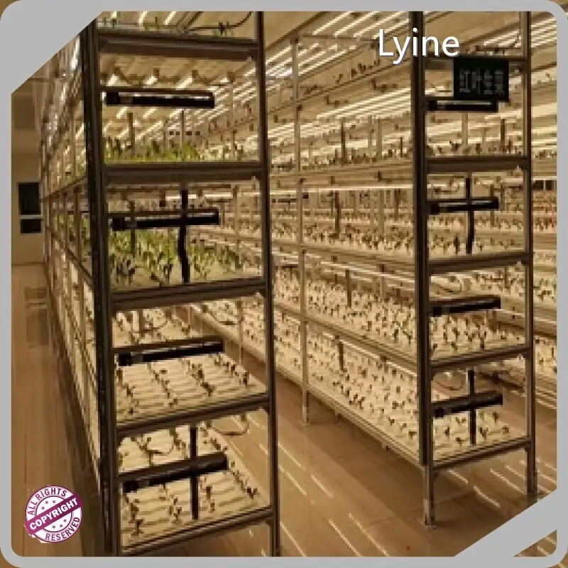 Innovative Vertical Hydroponic System 1