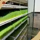 Hydroponic Tower Makers-1 1