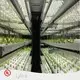 Commercial Hydroponic Tower by Lyine-1 1