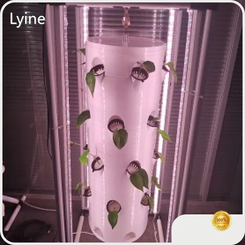 Tijorat vertikal gidroponik tizim - - Lyine 1