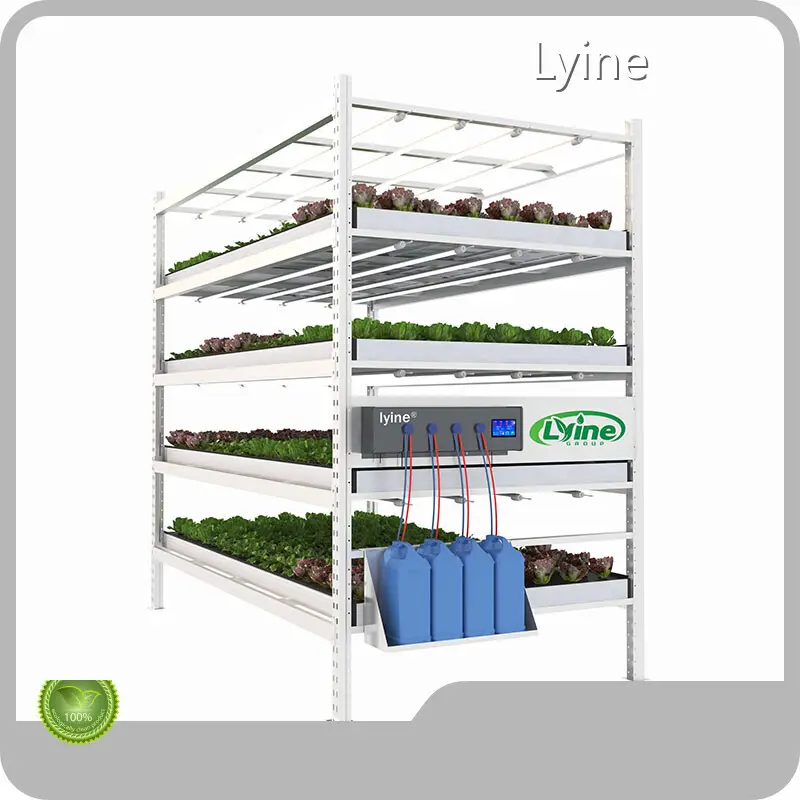 Top Flood and Drain for Leafy Greens Flood and Drain for Leafy Greens Company 1