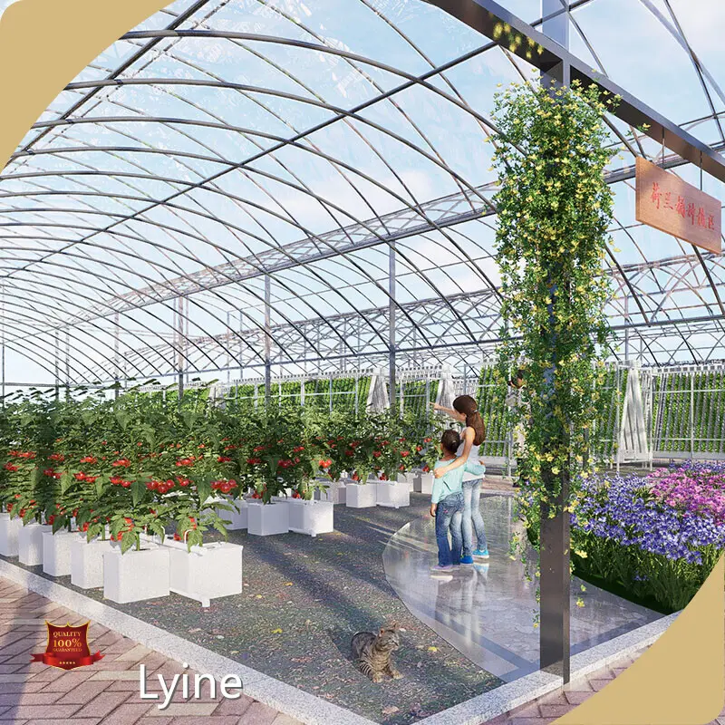 Lyine Commercial Dutch Bucket System CE/ROHSmanufacturers 1