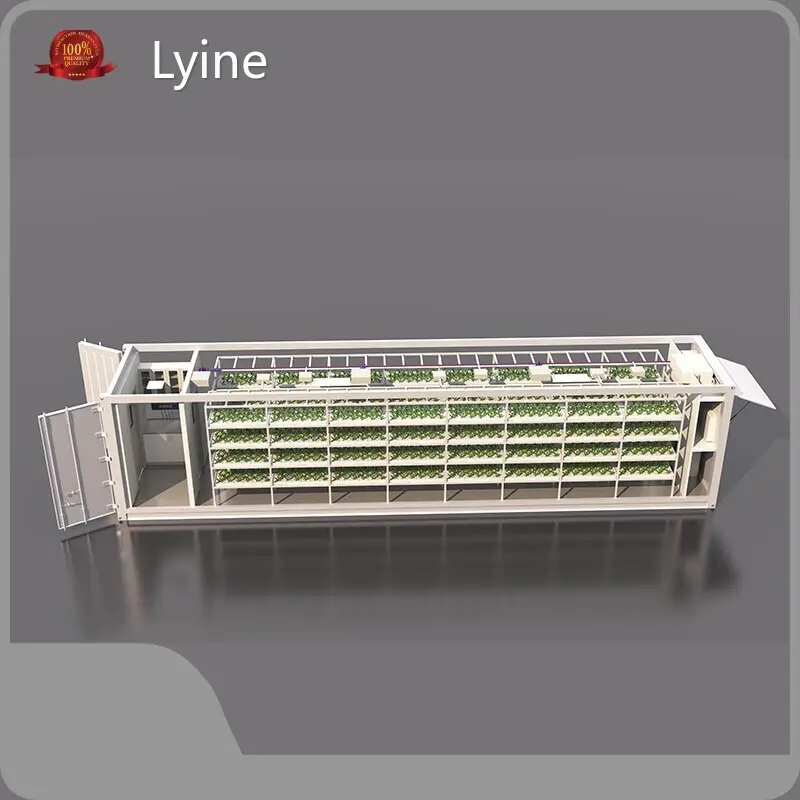 Container Hydroponic Farm 15-25work Days After Receiving Deposit by Lyine 1