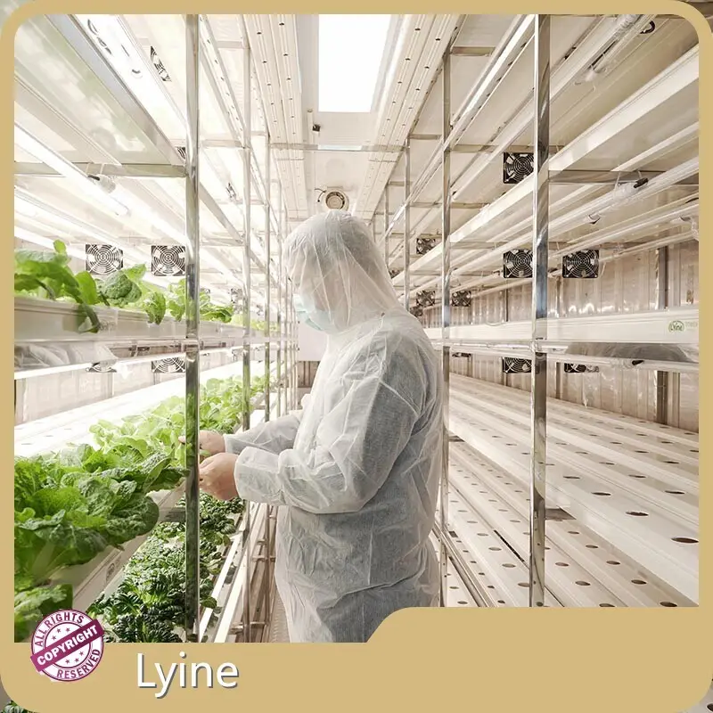 Shipping Container Hydroponic Farm 10-25 Work Days After Receiving Payment.supply 1