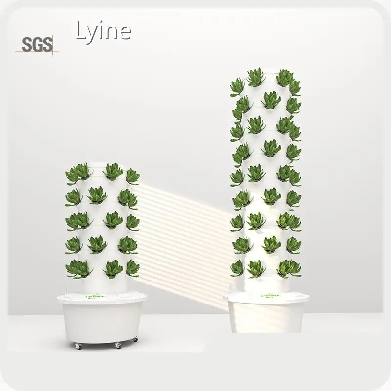 Commercial Vertical Hydroponic System Company 6P 1