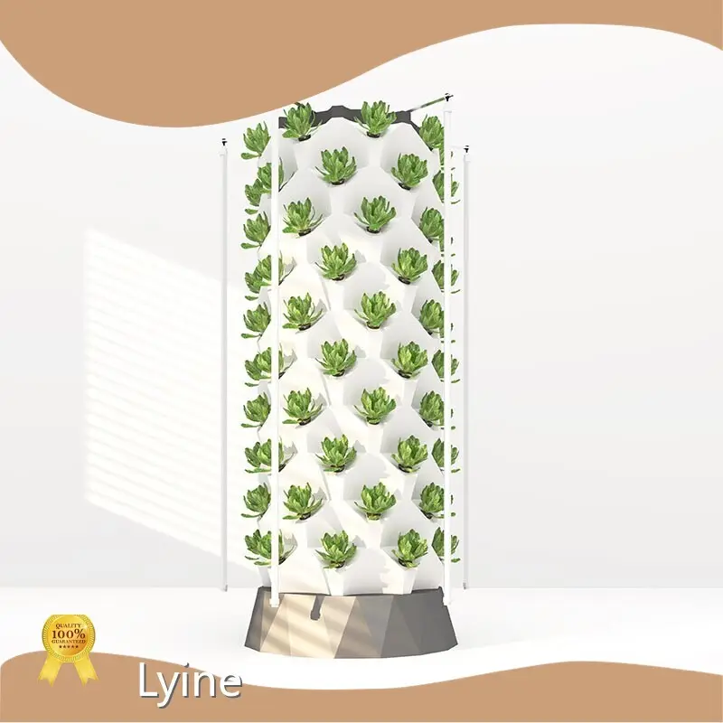 Custom Hydroponic Vegetable Garden Tower Hydroponic Vegetable Garden Tower Company 1