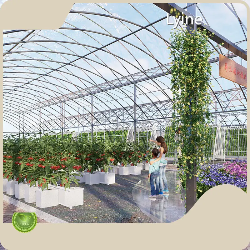 Lyine Bucket Growing System Qingdao/Shanghai Bucket Growing Systemmakers 1
