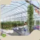 Lyine Bucket Growing System Qingdao/Shanghai Bucket Growing Systemmakers 1