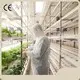 Azienda agricola verticale di container marittimi economicamente vantaggiosa 1