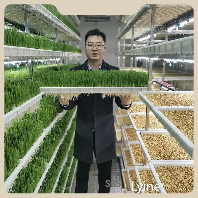Hydroponic Shipping Container for Sale LYDM-1000 CEwholesaler 1