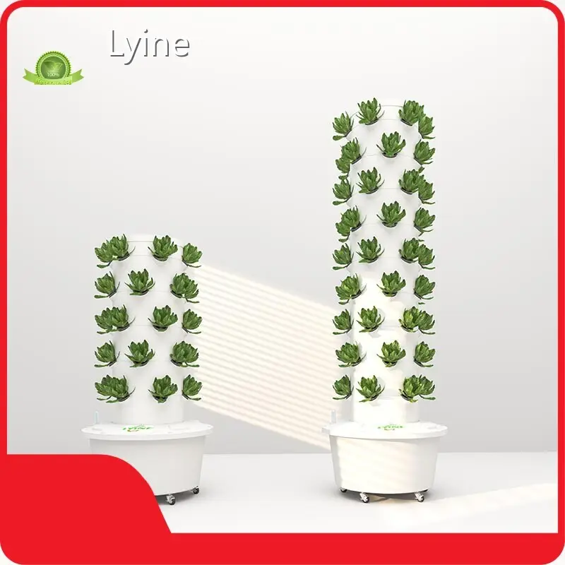 Lyine Commercieel Verticaal Hydrocultuur Systeem Qingdao/Shanghaileveranciers 1