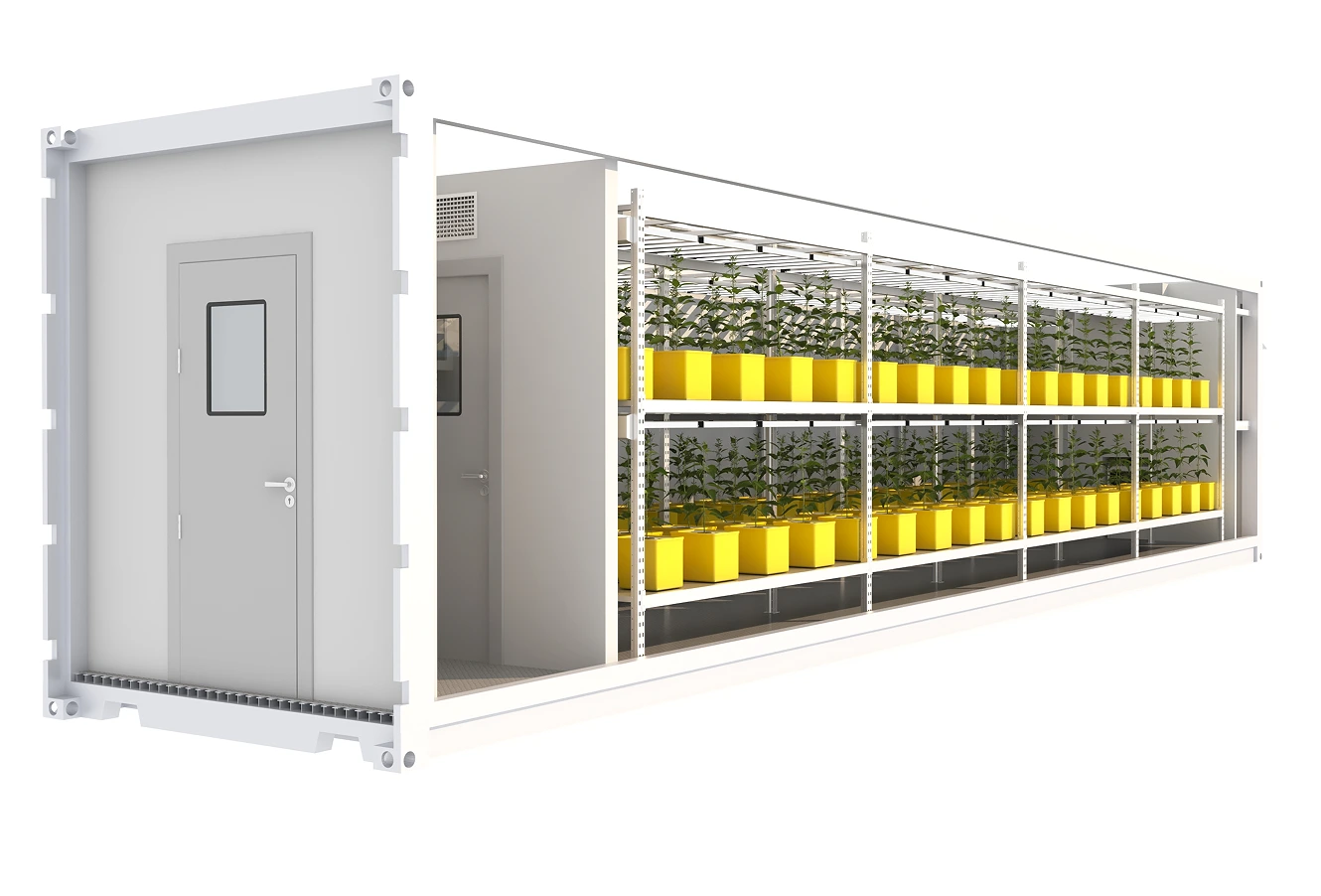 Cultivo en contenedores de hierbas Lyine Hydroponics 1