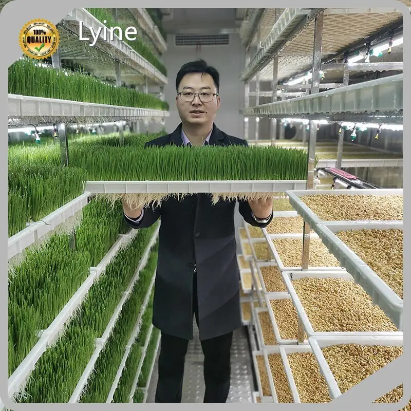 Shipping Container Grow Systems LYINEwholesaler 1