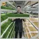 Shipping Container Grow Systems LYINEwholesaler 1