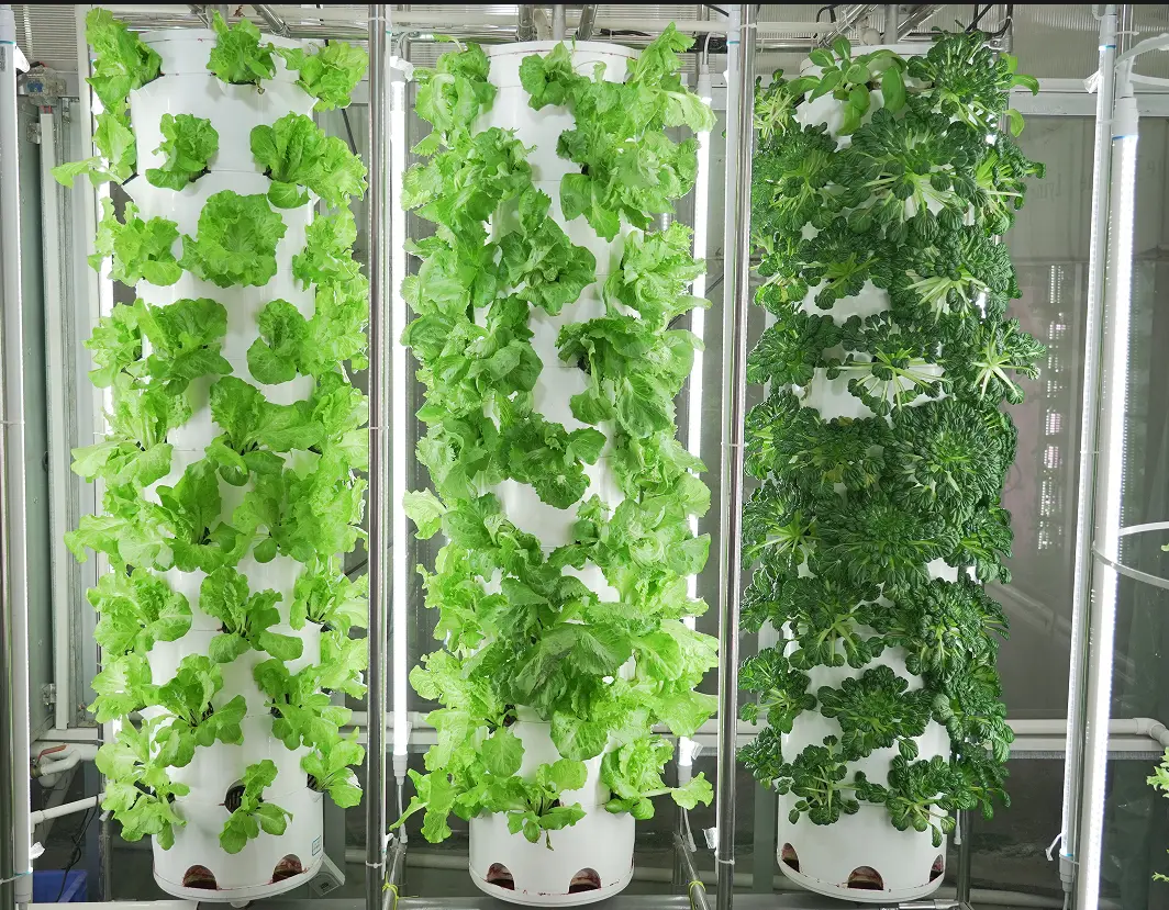 Zeecontainer Hydroponic Farm TT - - Lyine 3