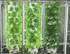 Zeecontainer Hydroponic Farm TT - - Lyine 3