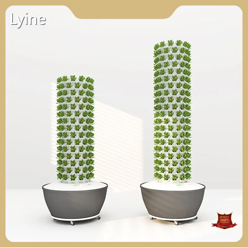 Verticale Toren Hydrocultuur Systeem 12P van Lyine 1