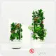 Vertikální Hydroponic Grow Tower 4P - - Lyine 1