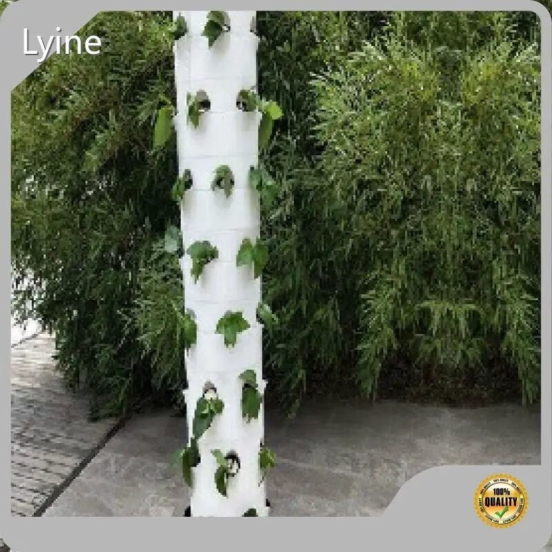 Lyine Hydroponic Vegetable Tower Factory 1