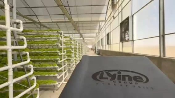 Smart salatoppdrettssystem - helautomatisert for drivhus & Vertikal gård 1