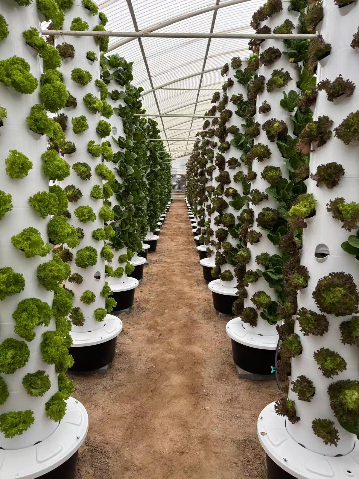 13+ Commercial Hydroponic Systems Commercial Hydroponic Systems Manufacturer & Turnkey Solutions | Lyine