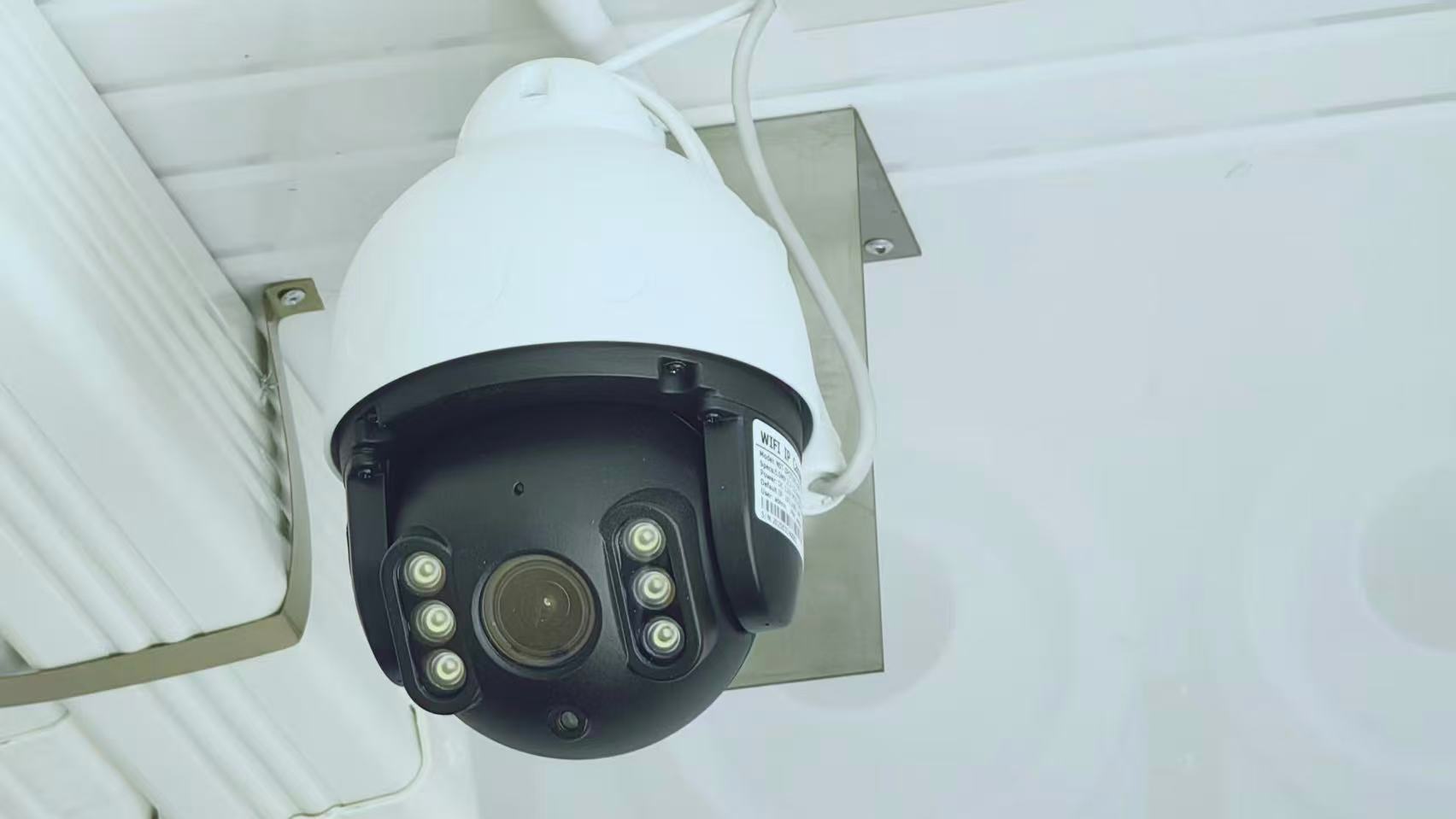 Lyine 40ft HQ контейнер тариаланчдын хувьсгал: Навчит ногоон, гүзээлзгэнэ, гүзээлзгэнэ, эмийн ургамал <000000 | Жилийн тойргийн ургац 19