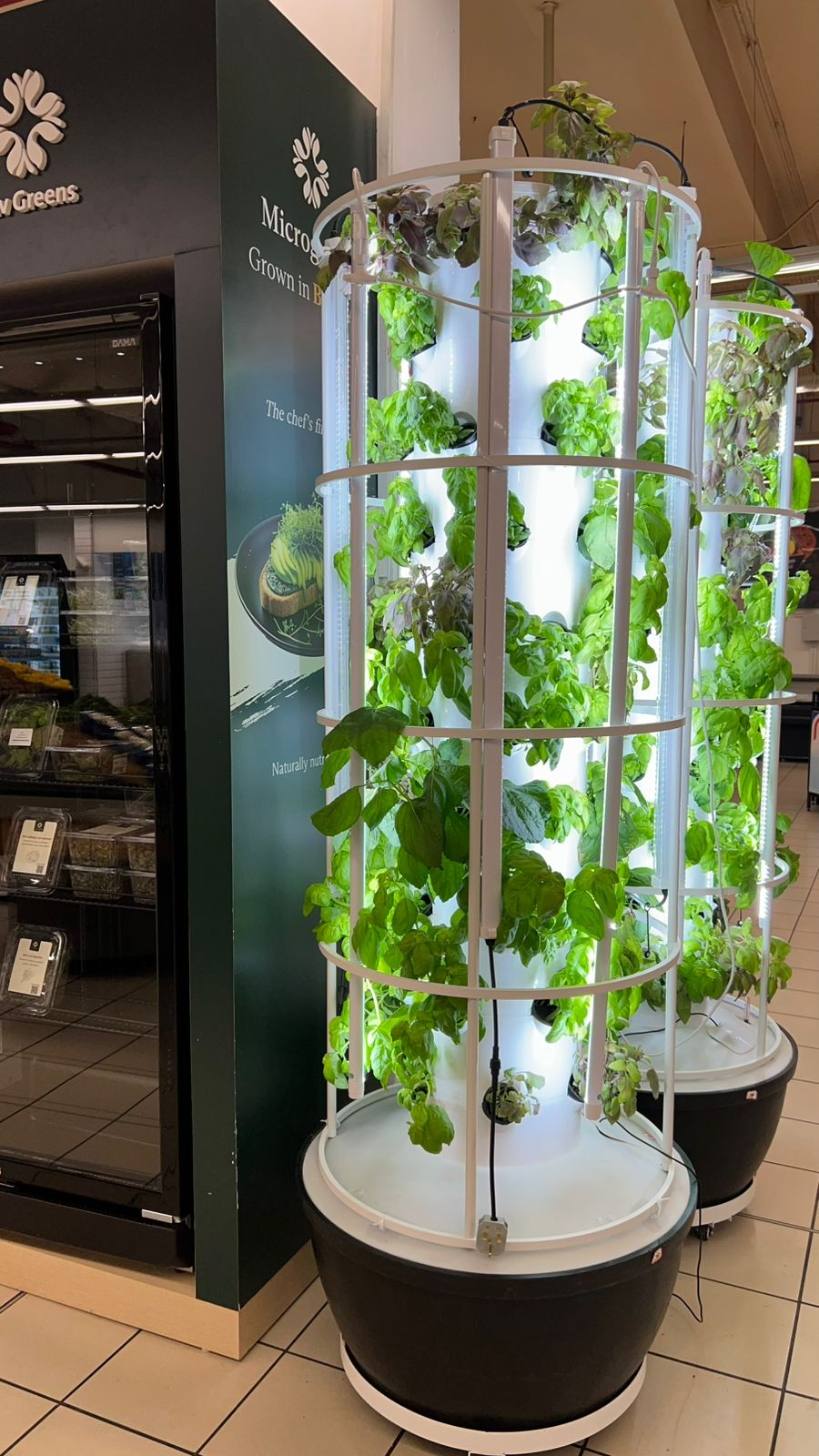 Horta no Iraque cria exposição de plantas verdes em ambiente interno com  torre hidropônica vertical 6P10 | Lyine, image size:900x1600