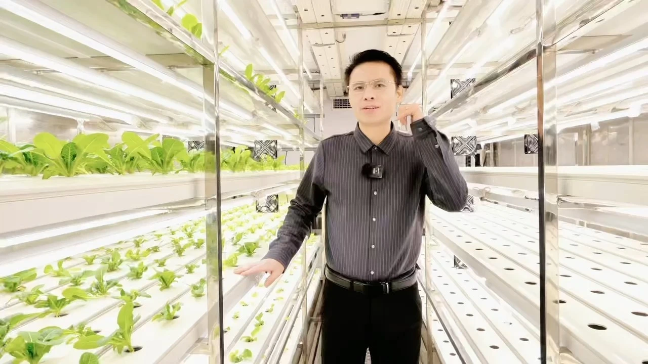 Recurso - Lyine, image size:1280x720