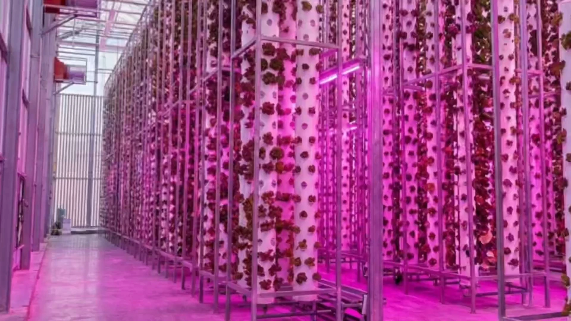 リソース - リネ, image size:1920x1080