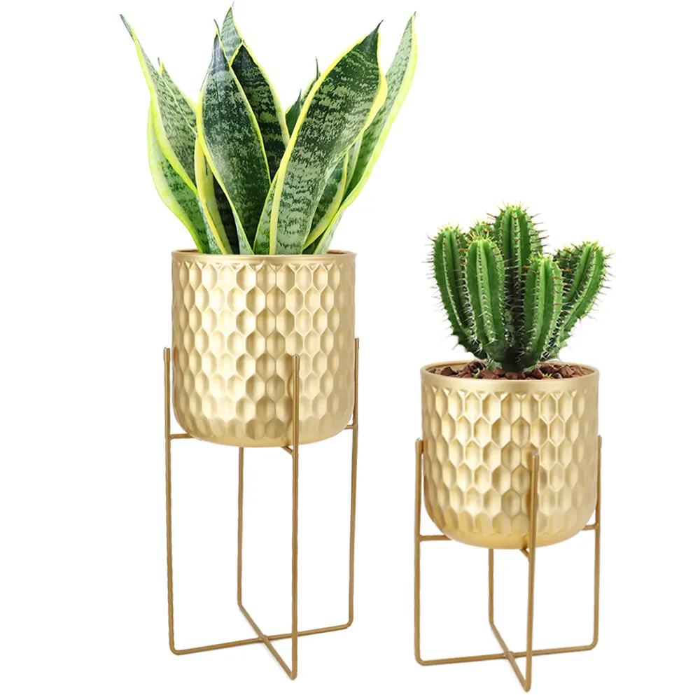 Flower Pot Manufacturers - - NEW IMAGE 2