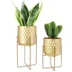 Flower Pot Manufacturers - - NEW IMAGE 2