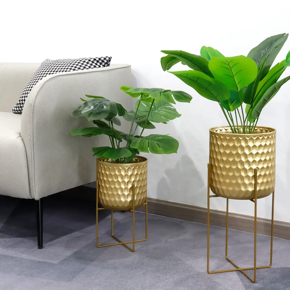 Flower Pot Manufacturers - - NEW IMAGE 5