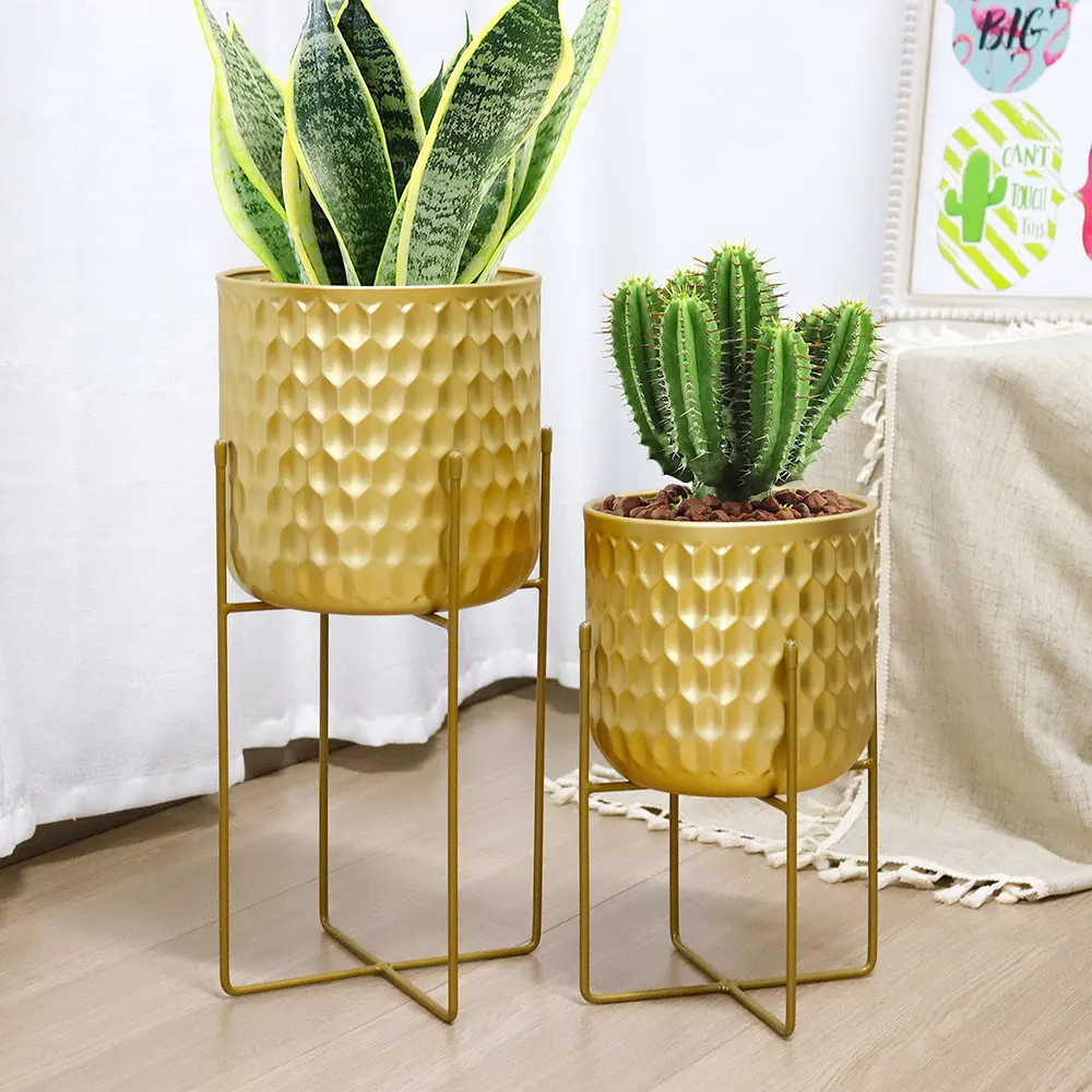 Flower Pot Manufacturers - - NEW IMAGE 6