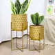 Flower Pot Manufacturers - - NEW IMAGE 6