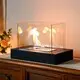 Bioethanol Tabletop Fireplace by NEW IMAGE 6