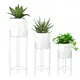 Gold Metal Flower Pot Customized Color by NEW IMAGE 3