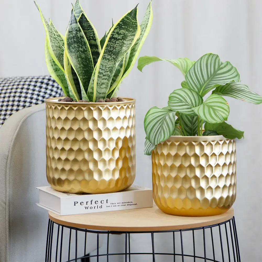 Flower Pots for Living Room Flower Pot Wholesale - NEW IMAGE 5