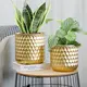Flower Pots for Living Room Flower Pot Wholesale - NEW IMAGE 5